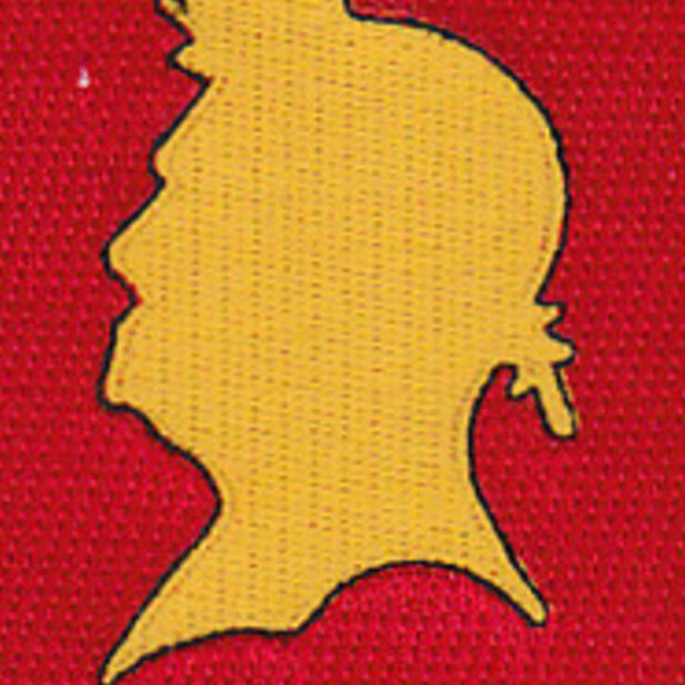 77th Anti Aircraft Field Artillery Battalion Patch
