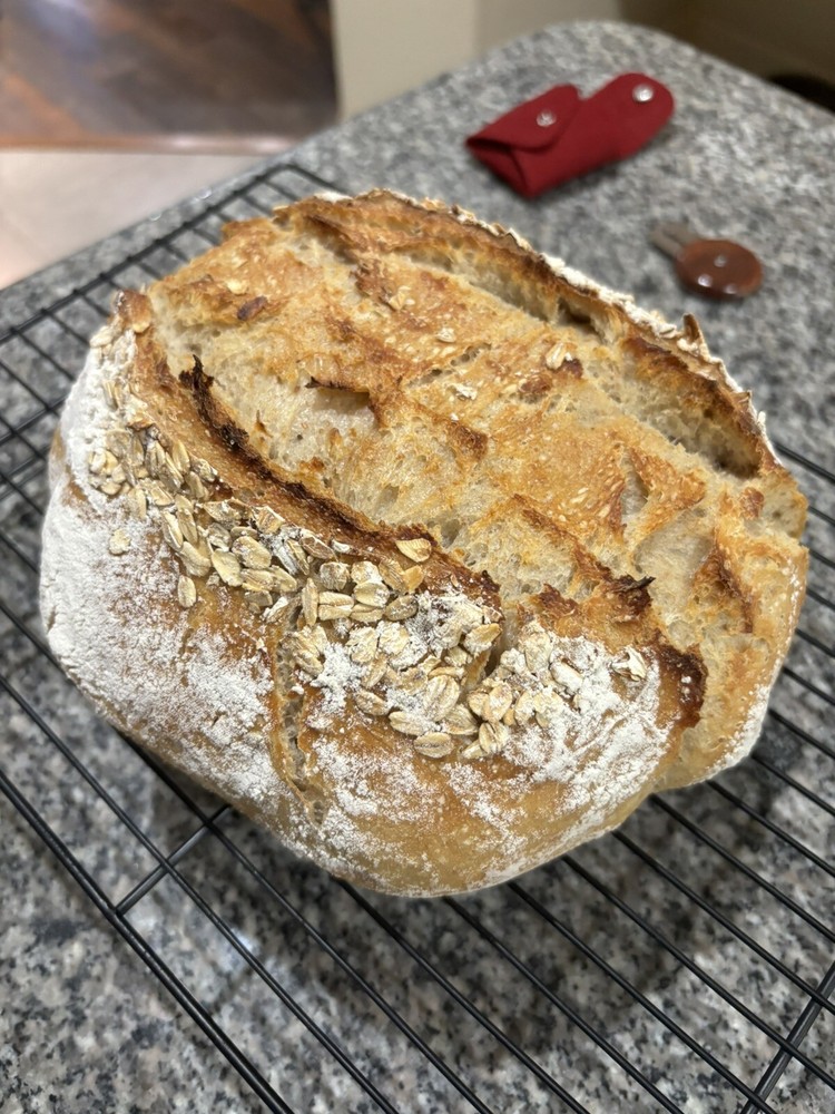 sourdough starter