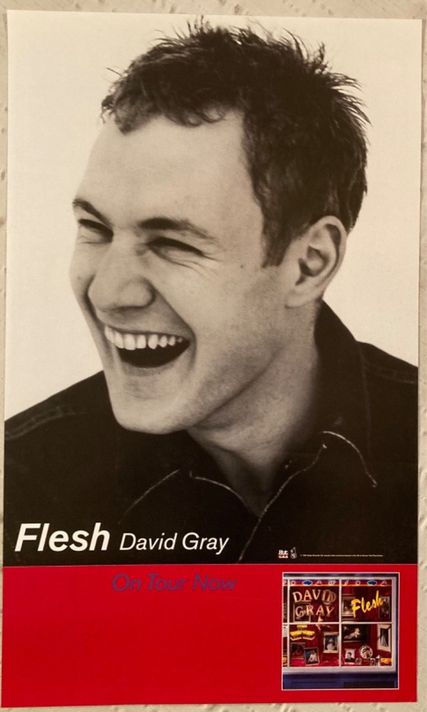 David Gray 1994 Promo Poster Flesh Z