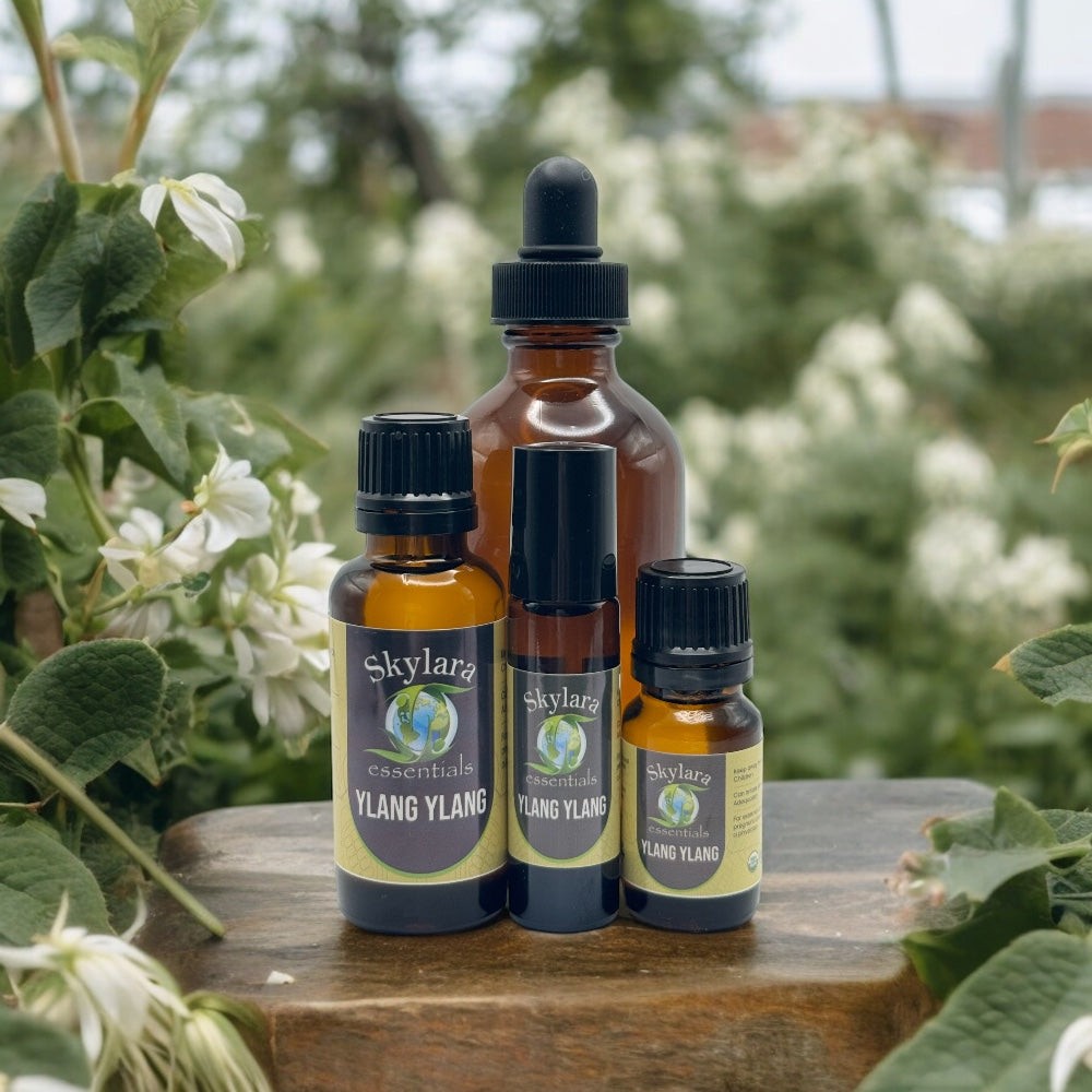 Ylang Ylang Essential Oil