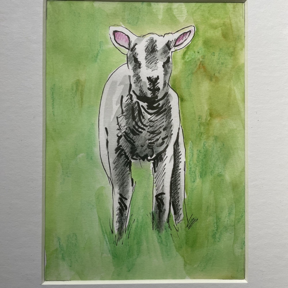 Original Sheep And Lamb Mounted Drawings X 3