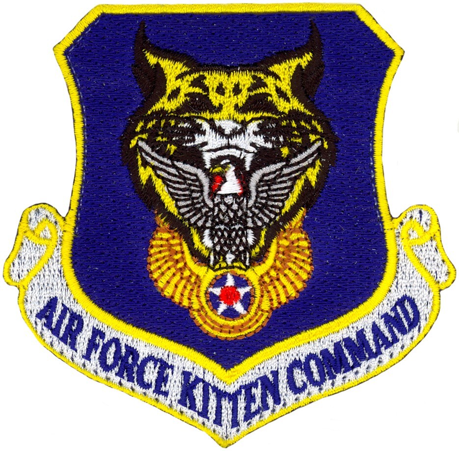 USAF 5th FLYING TRAINING SQUADRON PATCH - KITTEN COMMAND
