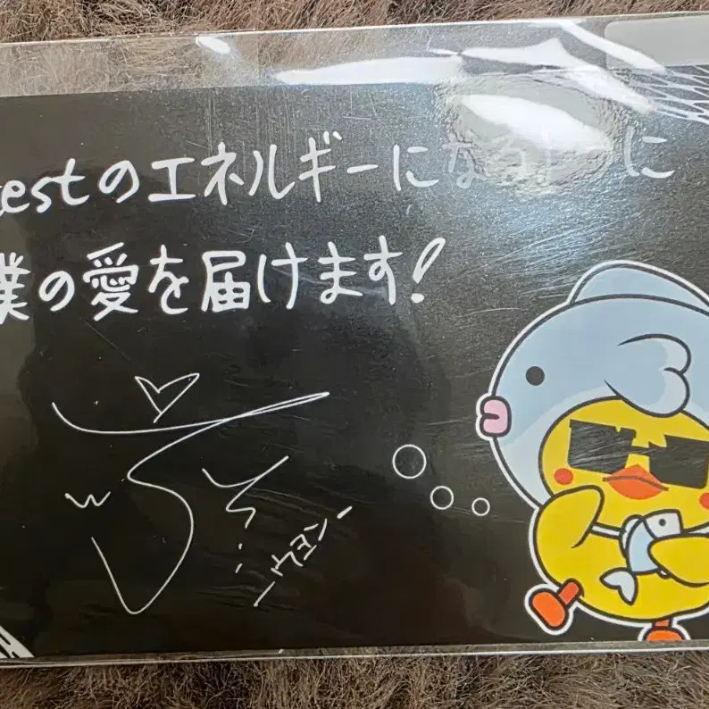 It's2PM Photo Cards Set - Group