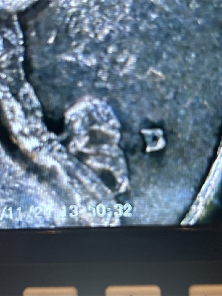 1981 D Washington Quarter Error Filled “D” Denver Mint Mark