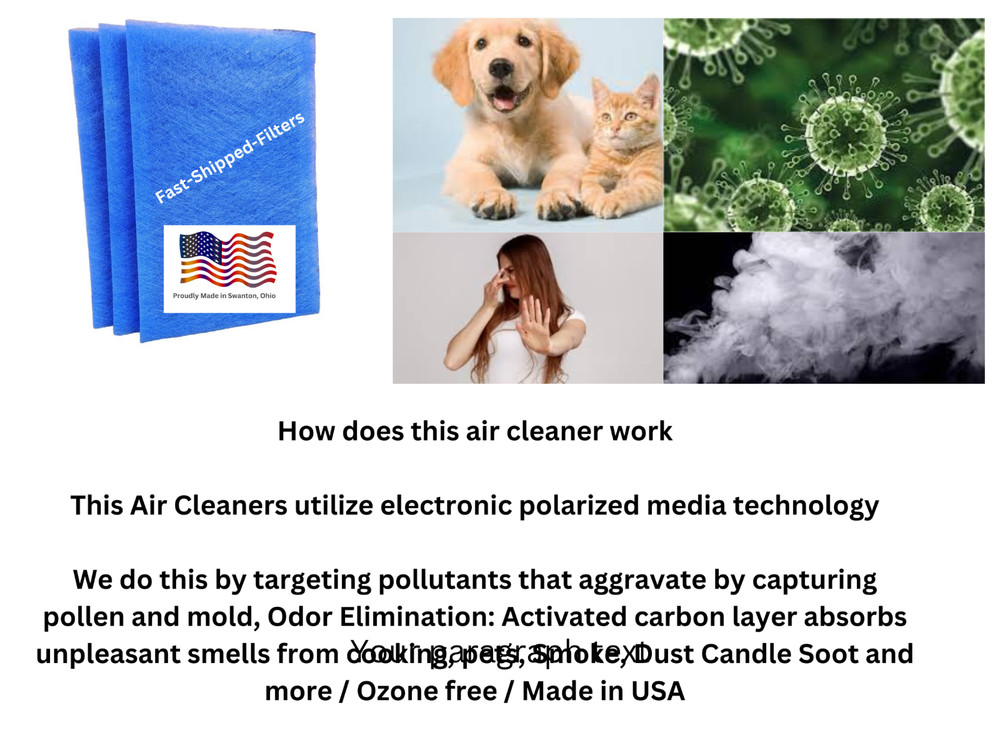 3 Pack Replacement Compatible Filter Biologic3 Air Cleaner Filters