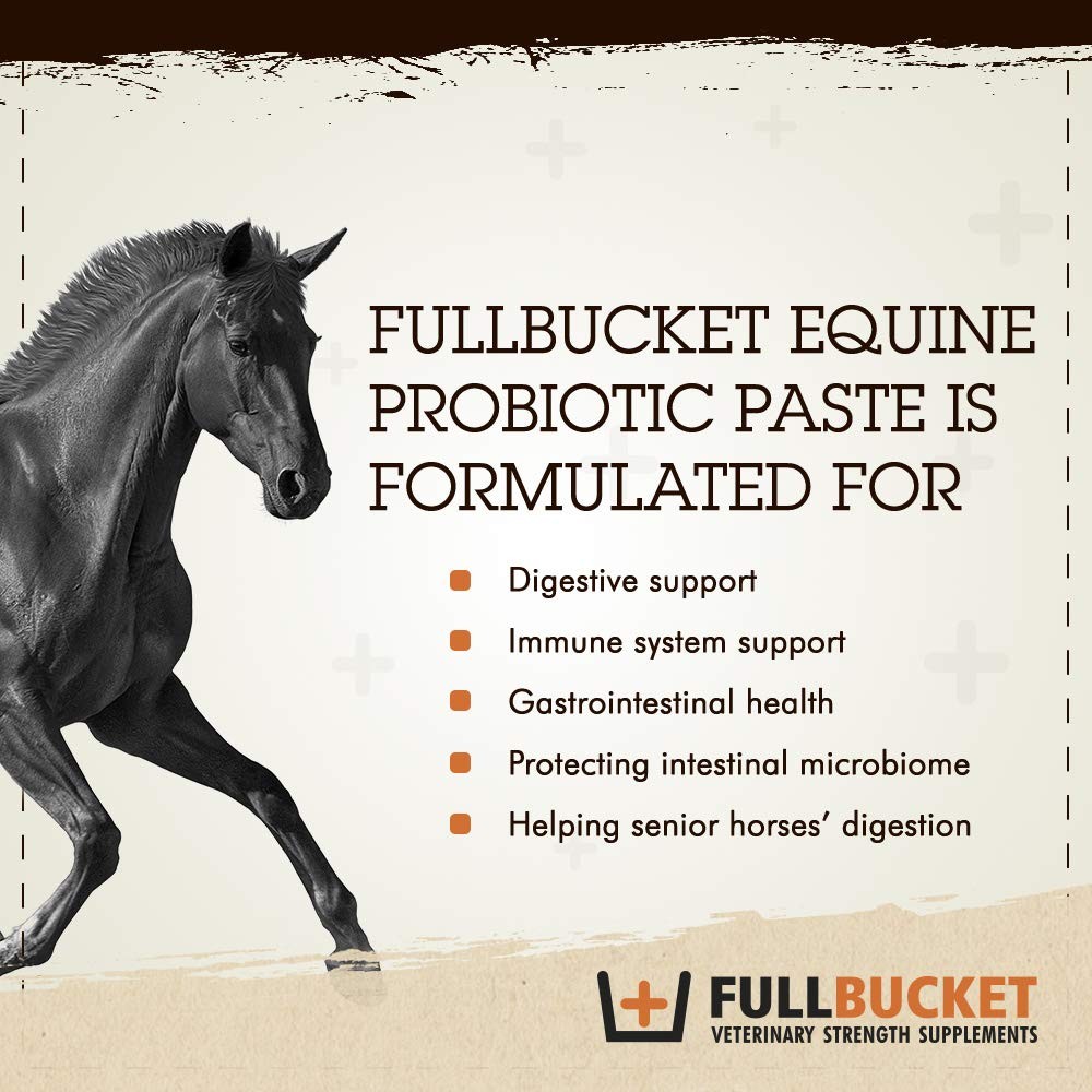 Equine Probiotic Paste 32.5CC