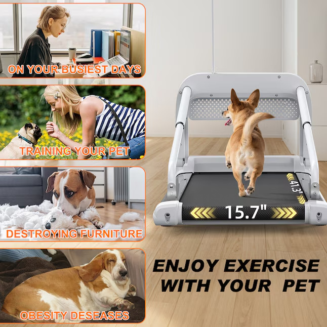 Misopily Pet Treadmill 2.5HP Foldable Dog Running Machine Adjustable Speed