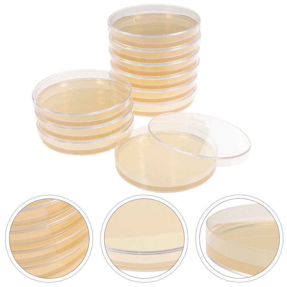 10 Pcs Prepoured Petri Dish Nutrient Agar Plate Extract