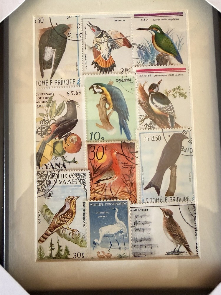 Bird Birding Postage Stamp Art Framed Pair 8x 6 Frames