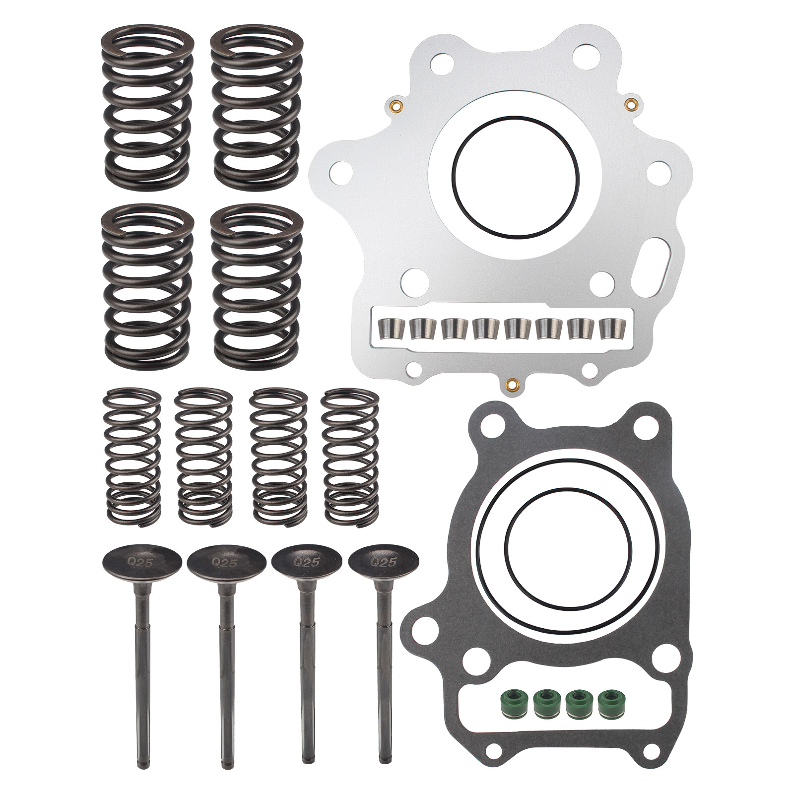 Cylinder Intake Exhaust Valve Kit for 1993-2008 Honda TRX300EX Sportrax 300 2X4