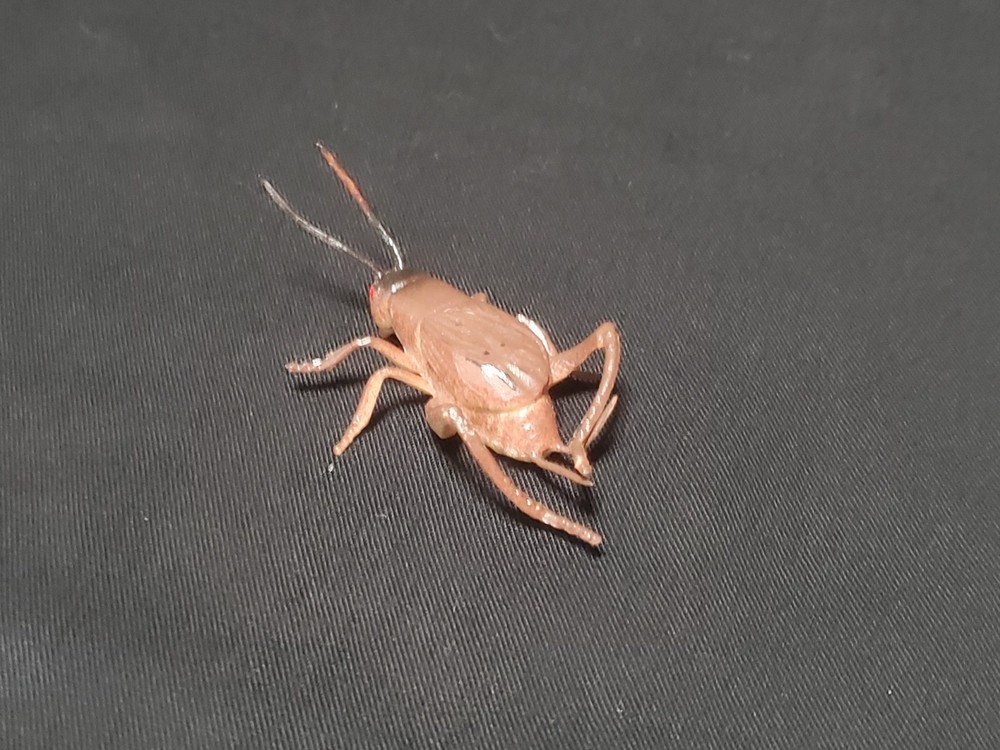True Cricket Insect .75" Educational Toy Figure