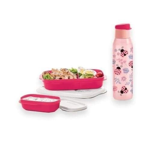 Tupperware Ladybug Collection Container And Water Bottle