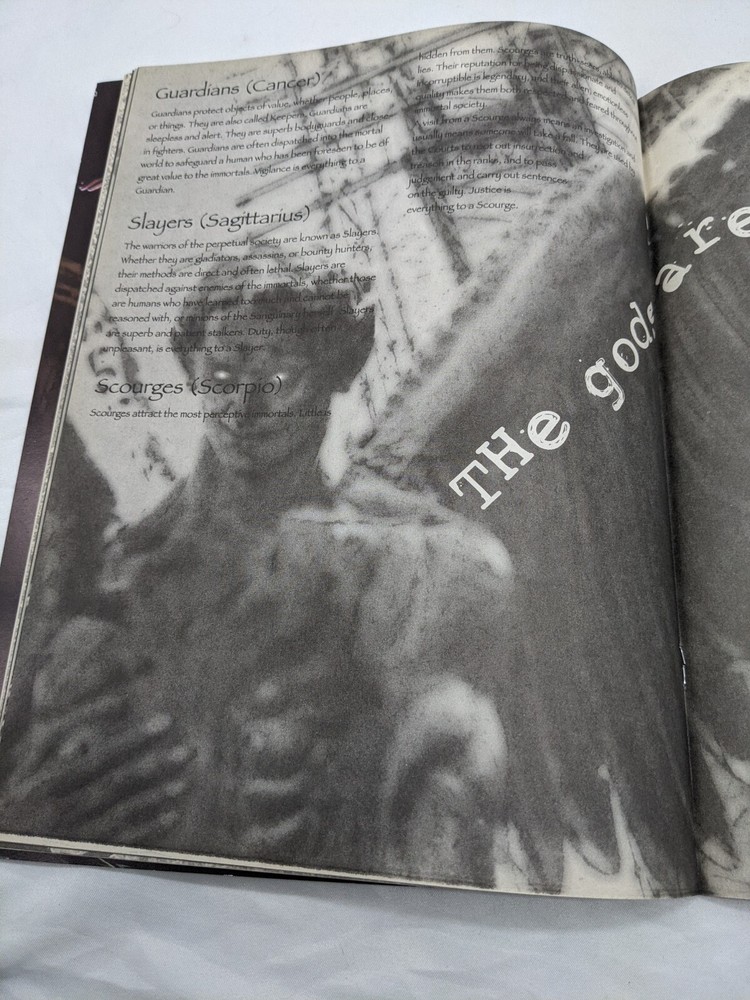 Immortal RPG Preview Introduction Book Precedence