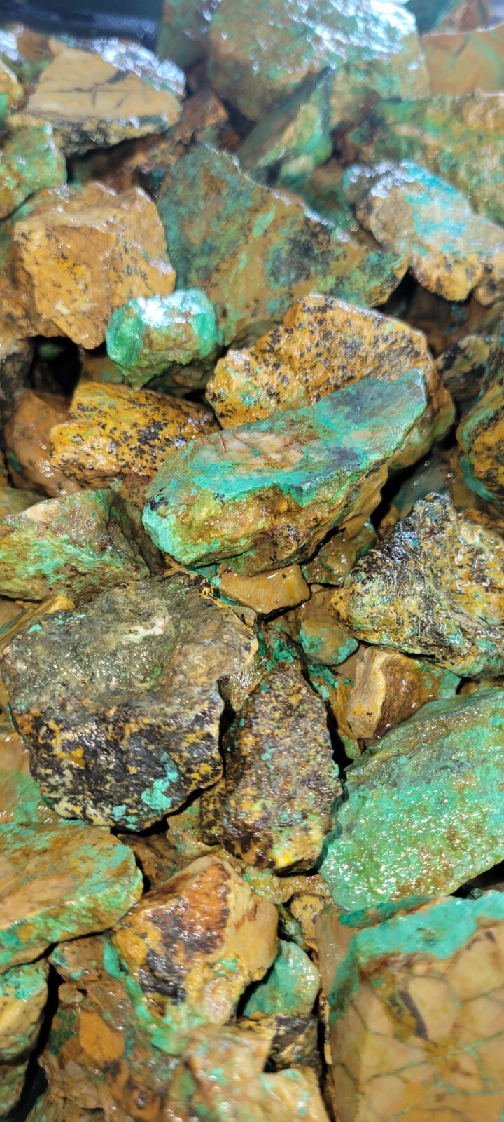 Natural Turquoise Rough Blue Silver Mine, Lone Mountain District NV - Half Pound