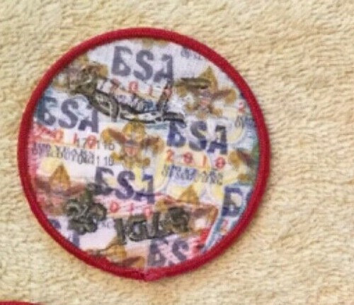 PADI BSA Go Scuba Boy Scout Embroidered Patch - 1 Patch