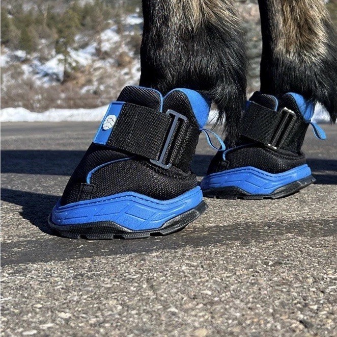 EasyCare EasyBoot Rx2 Therapy Horse Boot