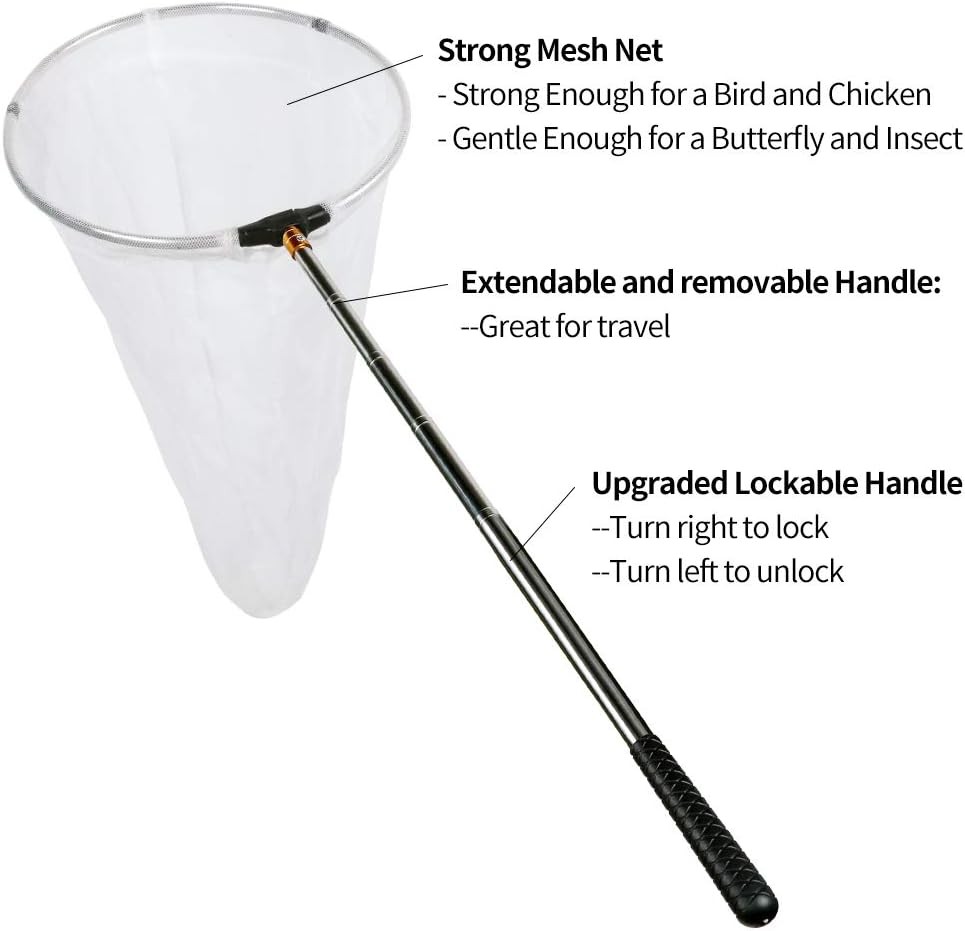 Butterfly Net RESTCLOUD 12in Ring Extendable 59in Handle