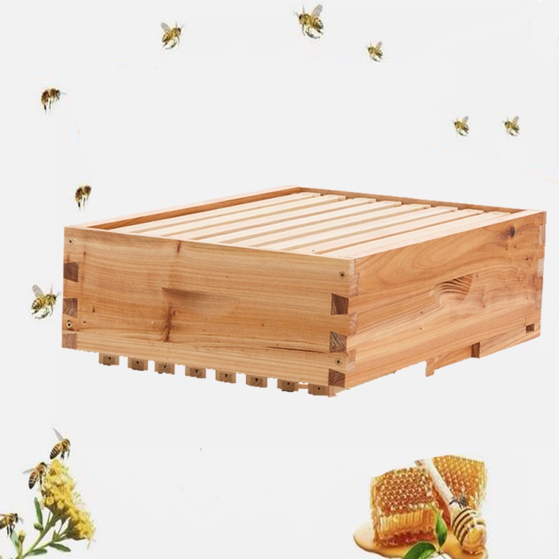 100% Beeswax Beehive 10 Frame Add-On Super, 10 Deep Frames Langstroth Beekeeping