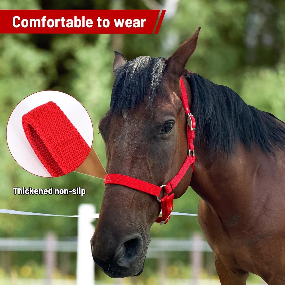 Horse Halter, Adjustable Nylon Strap with Metal Hardware (XL) Red