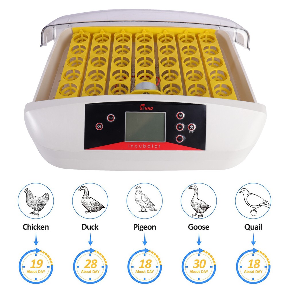 Egg Incubator Automatic Chicken Quail Chick Bird Hatcher Temperature Control