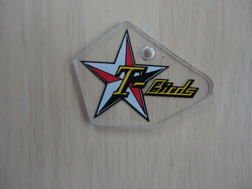 Rollergames Pinball Machine T Birds Promo Plastic Key Chain