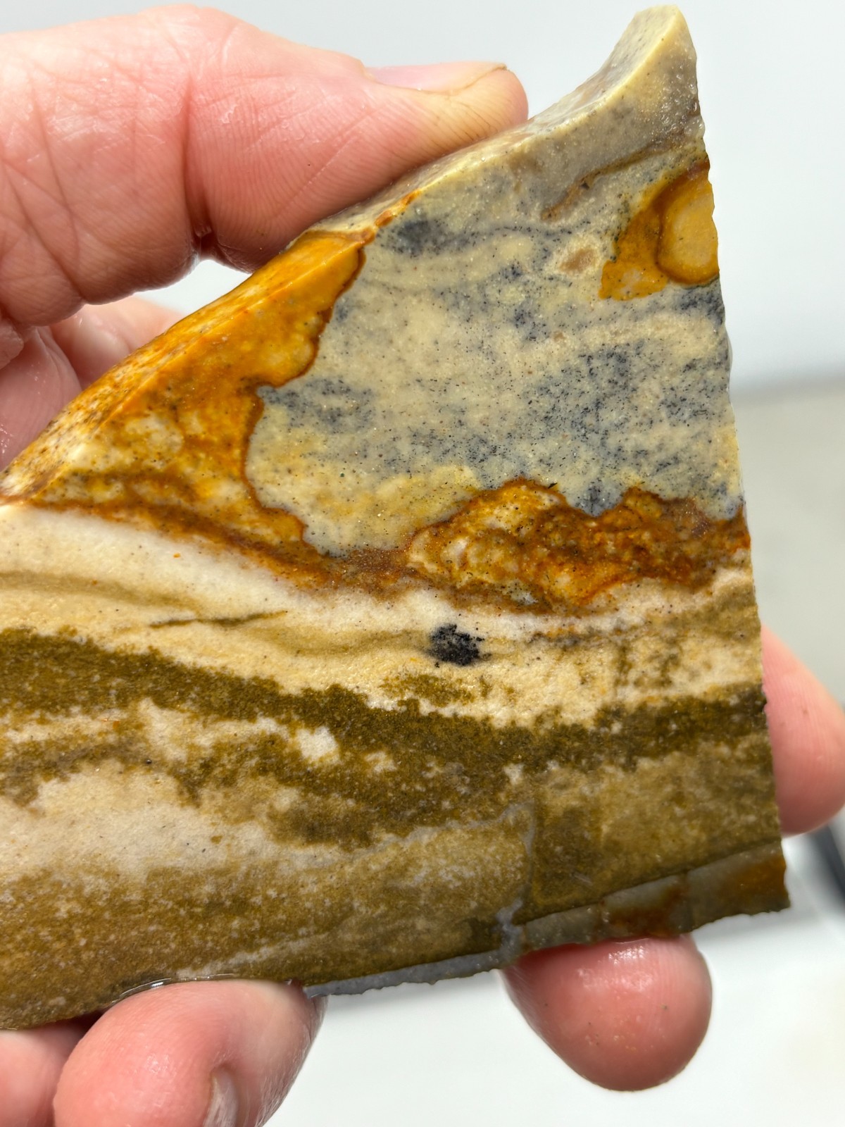 Disaster Peak Picture Jasper Slab Cabbing Lapidary Collecting Combo Ship Avail
