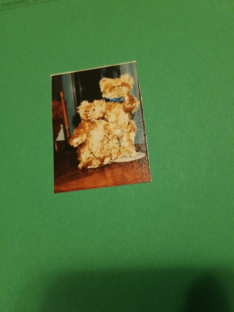 1989 Casey Creations 12" Teddy