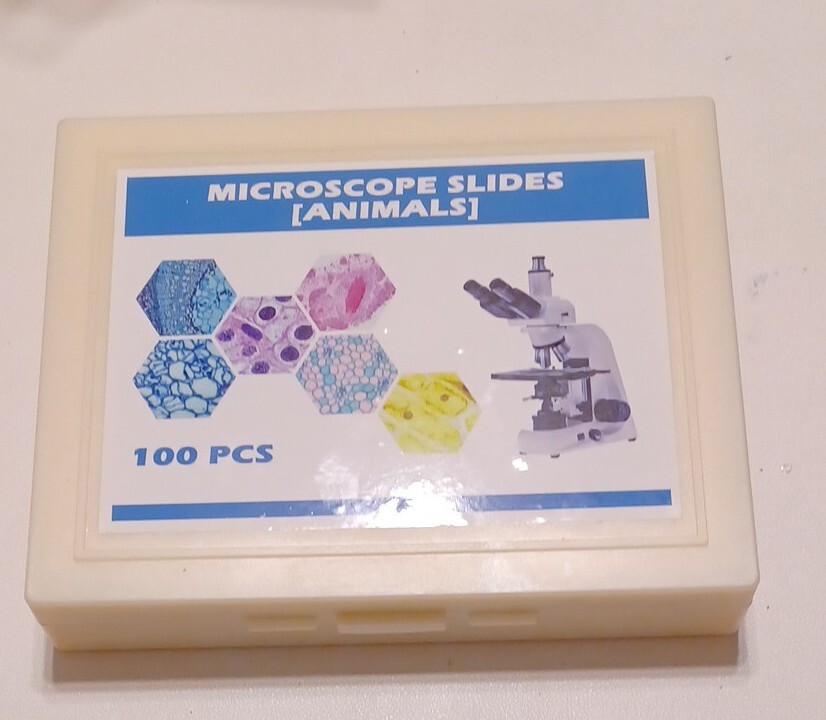 Microscope Slides (Animals) 100 Glass Slides New