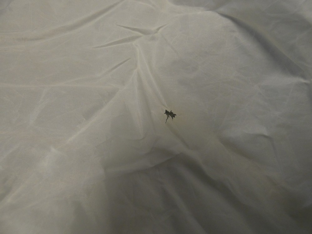 Chimera Video Pro Plus Softbox Size Small w/4 Rods, Case (has rip on diffuser)