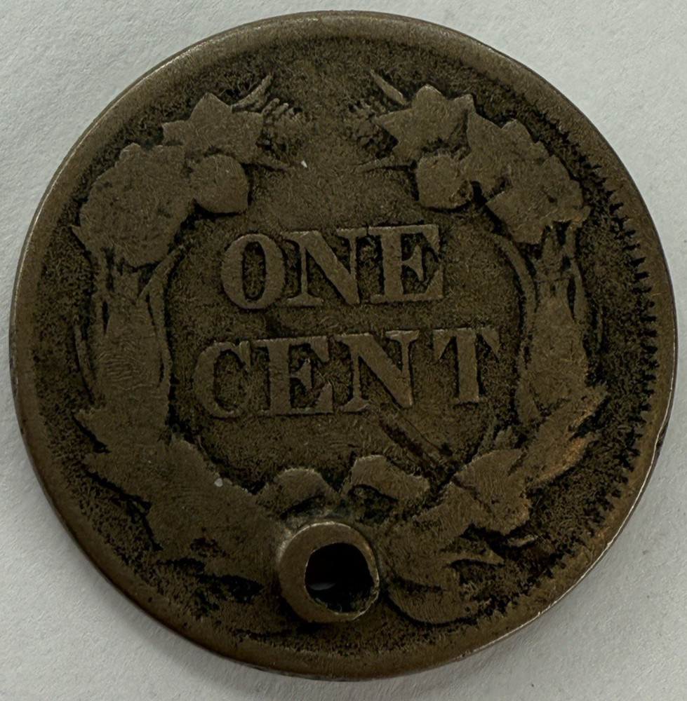 1857 Flying Eagle Cent Exact Coin Imaged #FLY91