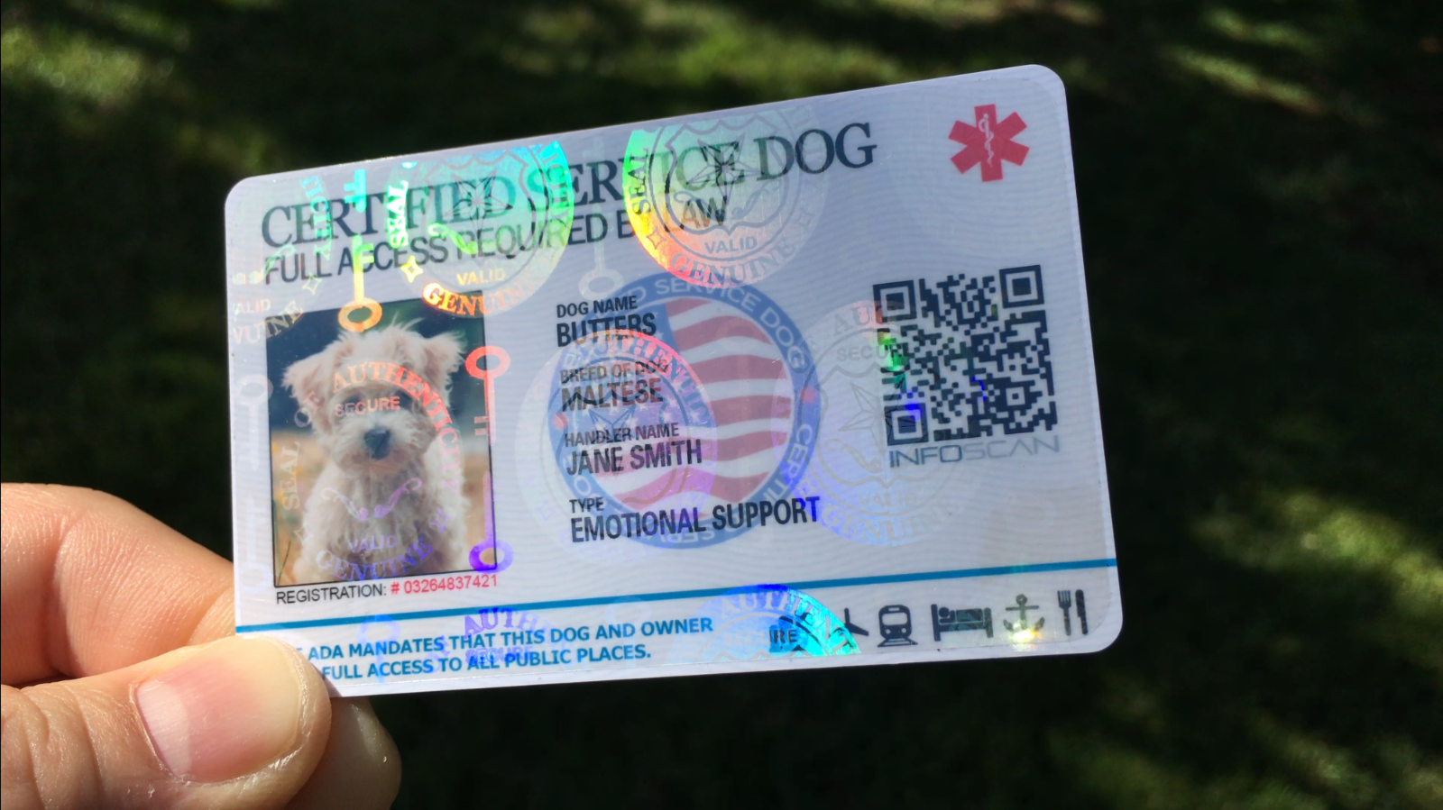 HOLOGRAPHIC SERVICE DOG ID CARD ID KEY CHAIN COLLAR TAG FOR SERVICE ANIMAL