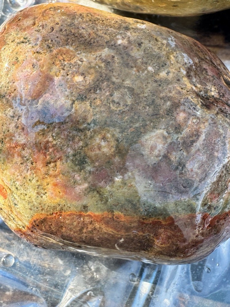 jasper rough lbs Polychrome 7 Lbs