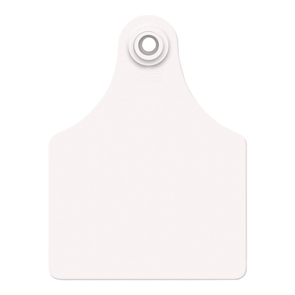 Global Large, Blank (25) Color: White