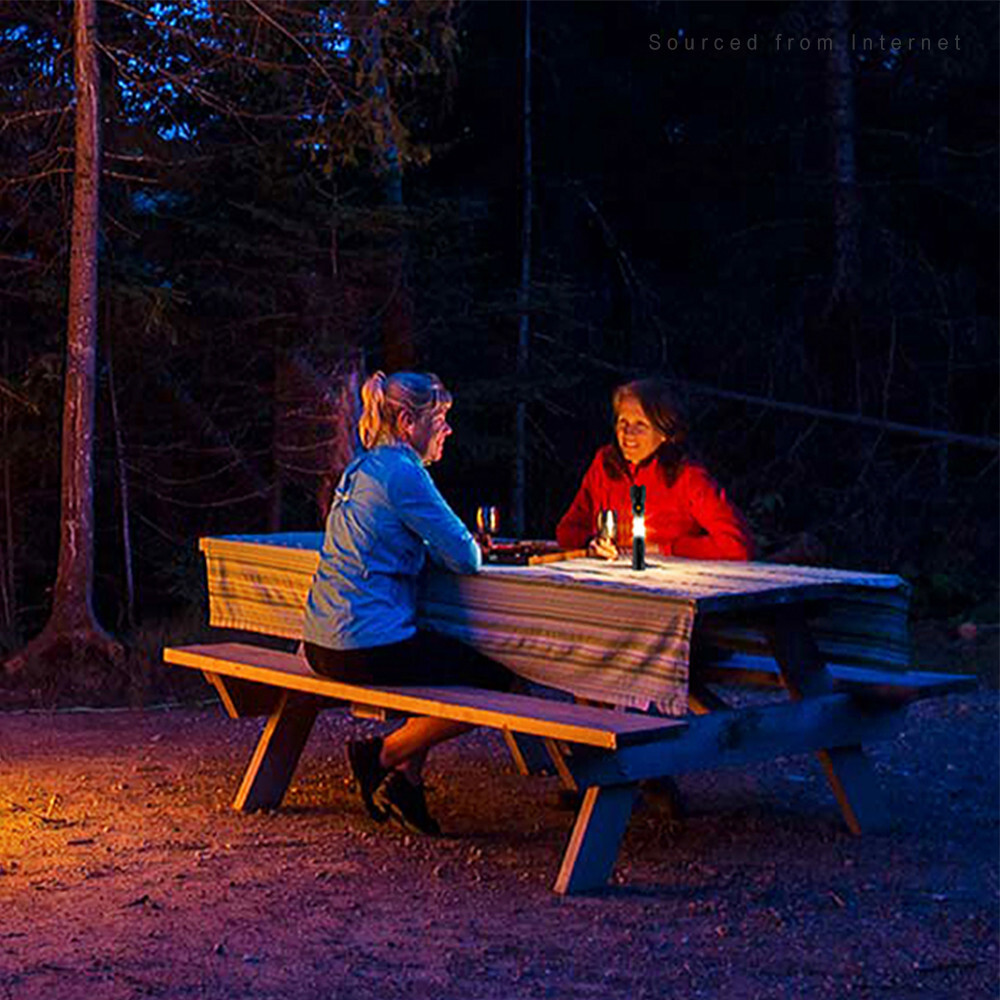 2-Pack LED Flashlight + Work Light, Magnetic Base, Battery Operate