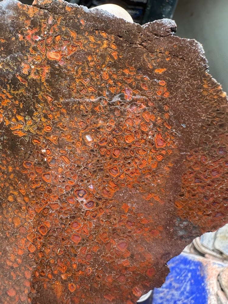 Dinosaur bone rough **hxtled slab.