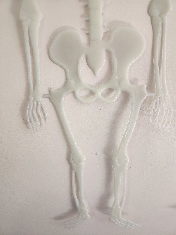 Vintage Hinged Plastic Skeleton Witch Halloween
