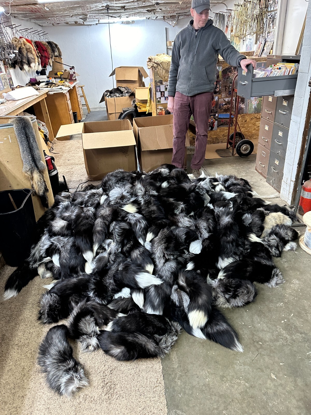 Tanned Silver Fox Tail 17 to 20 Inches