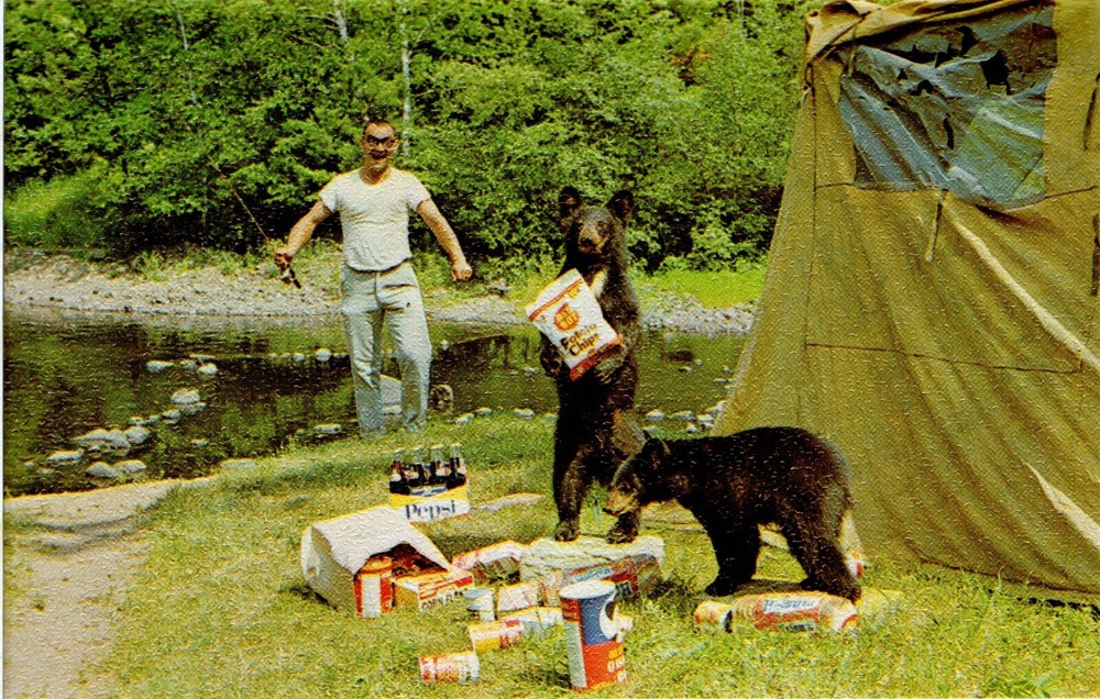 NOW WHO'S AFTER WHOSE PORRIDGE? - PC3195