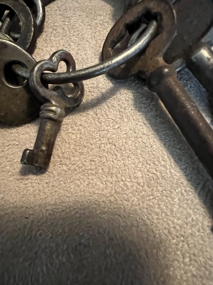 Vintage SKELETON KEYS & FLAT KEYS Assorted on Ring