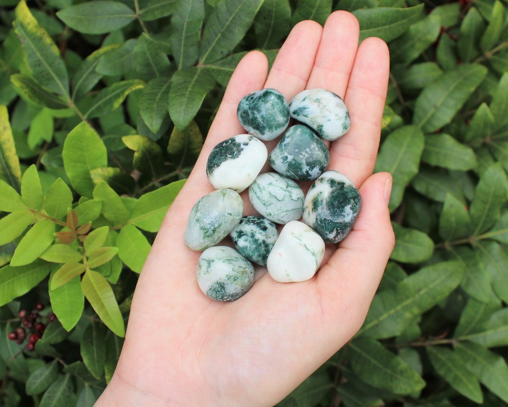 1/2 lb Bulk Tree Agate Agate Tumbled Stone (8 oz) Crystal Healing Dendric Agate