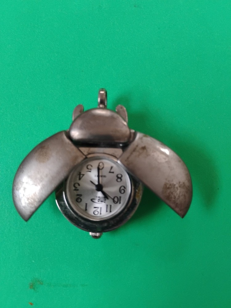 Why Me? Cicada Pendant Watch Untested Needs Battery