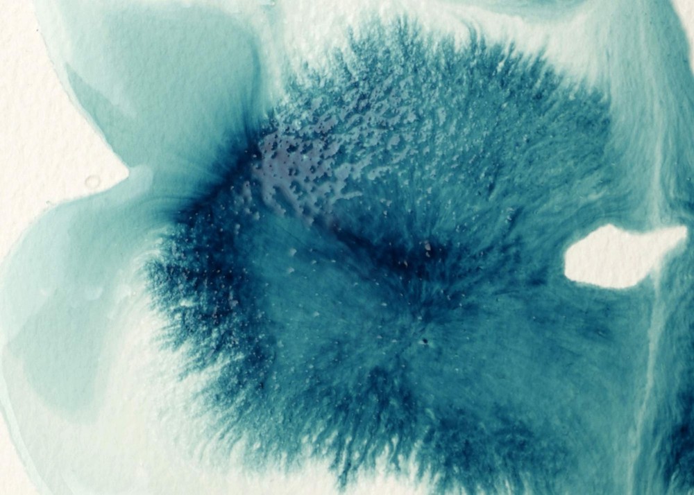 Professional Effects Medium 118ml 4-oz Flow Aid