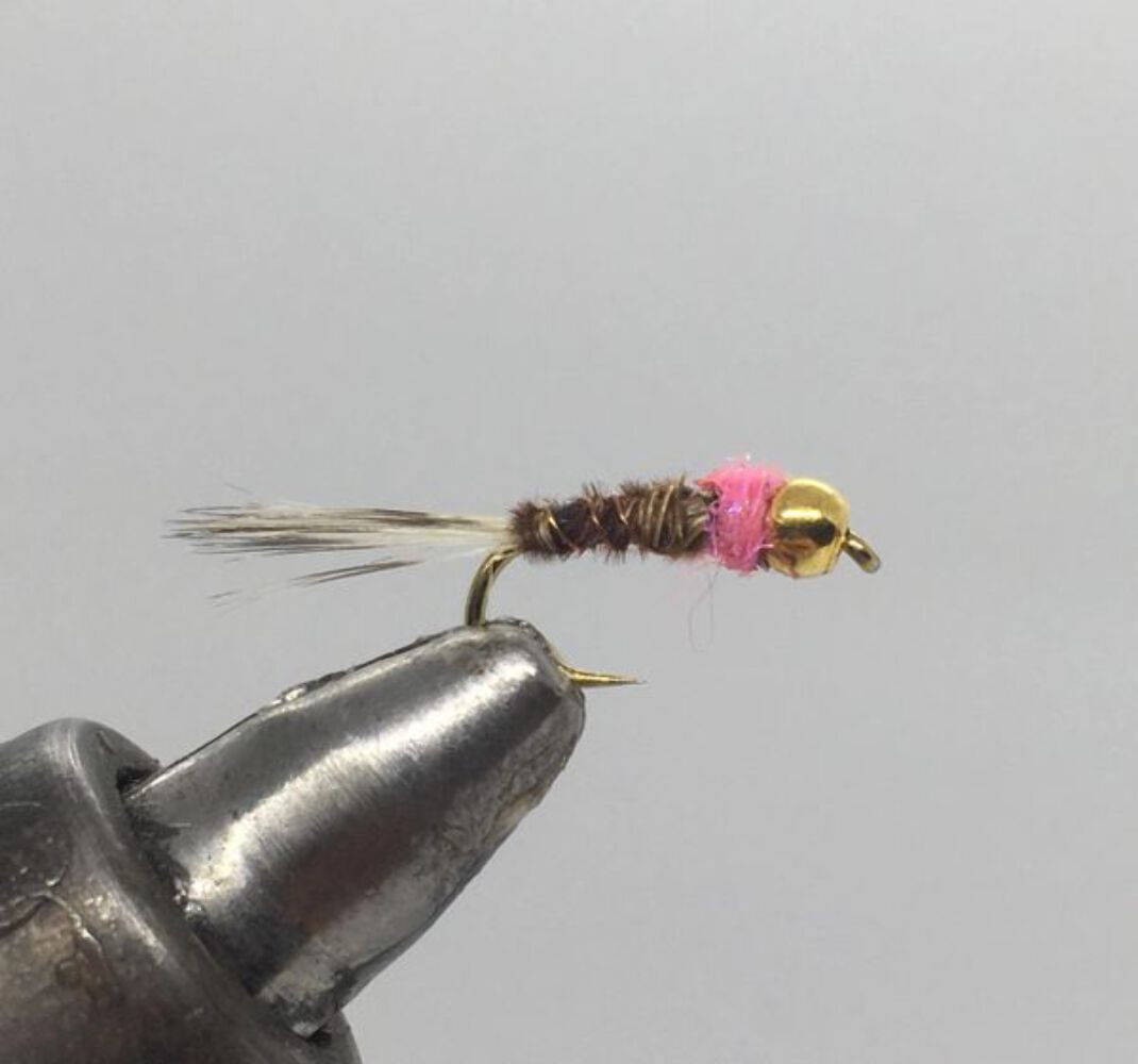One Dozen (12) - Tungsten Beadhead Frenchie - Pink - Nymph
