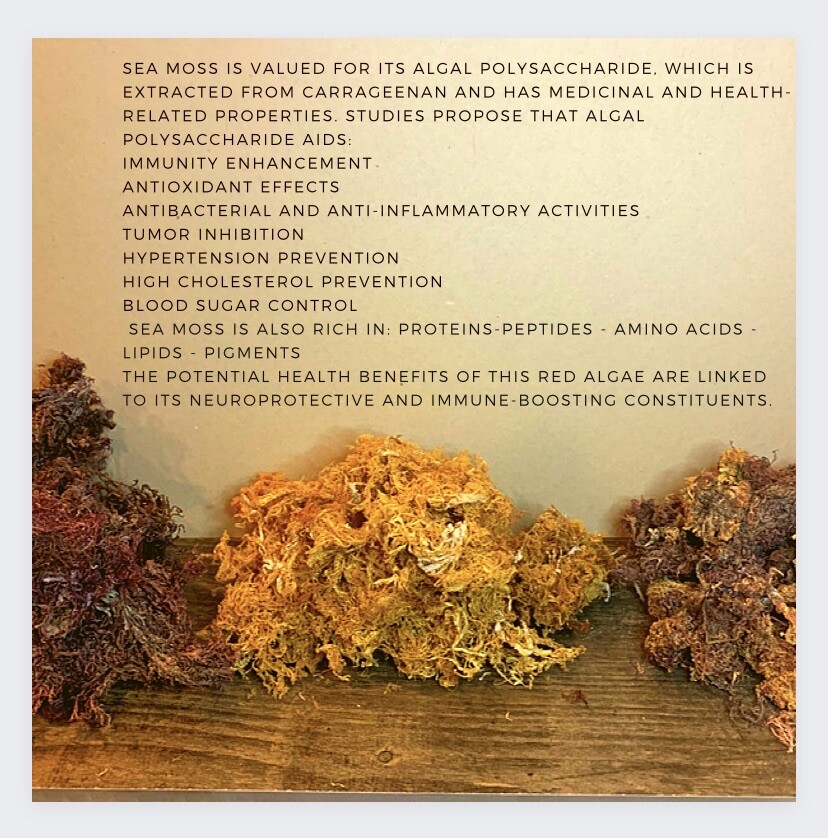 Sea Moss Detox Capsule- Bladder Wrack- Burdock Root- Yellow Dock Root - Organic