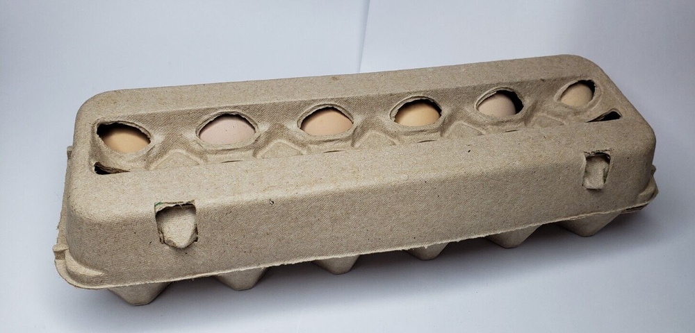 25 Count Ex-Large Plain Moulded Chicken Egg Cartons. 2 x 6.
