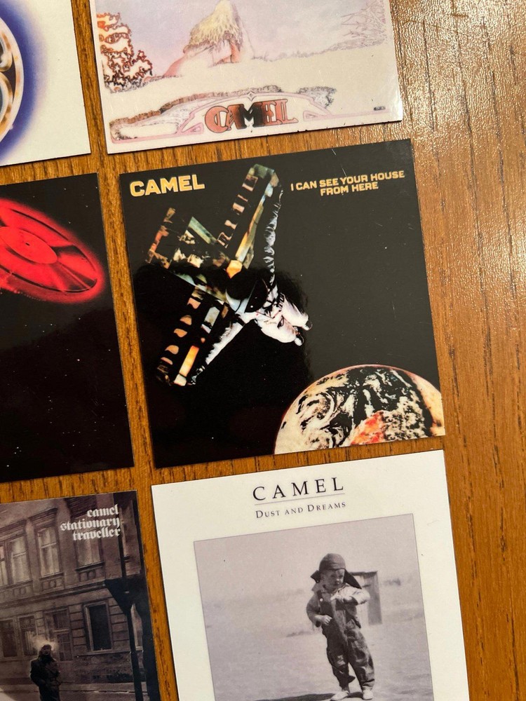 Camel fridge magnets
