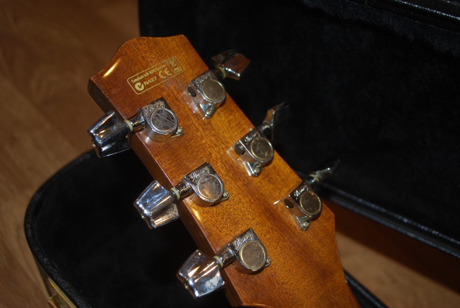 Ibanez - EW20 - ZWENT1201 Electric Acoustic Guitar With Hard Case