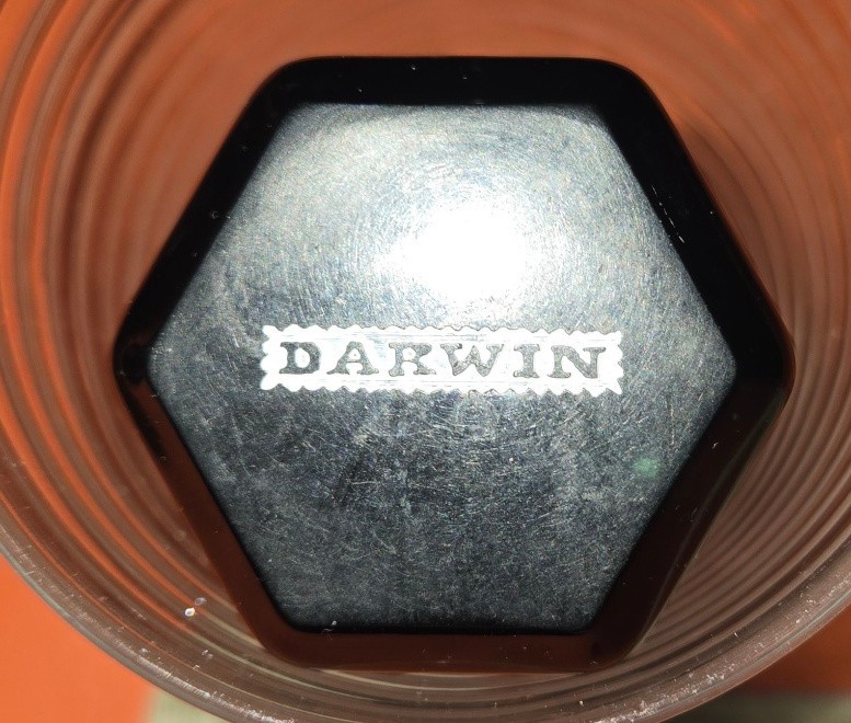 Darwin 24mm synthetic brush