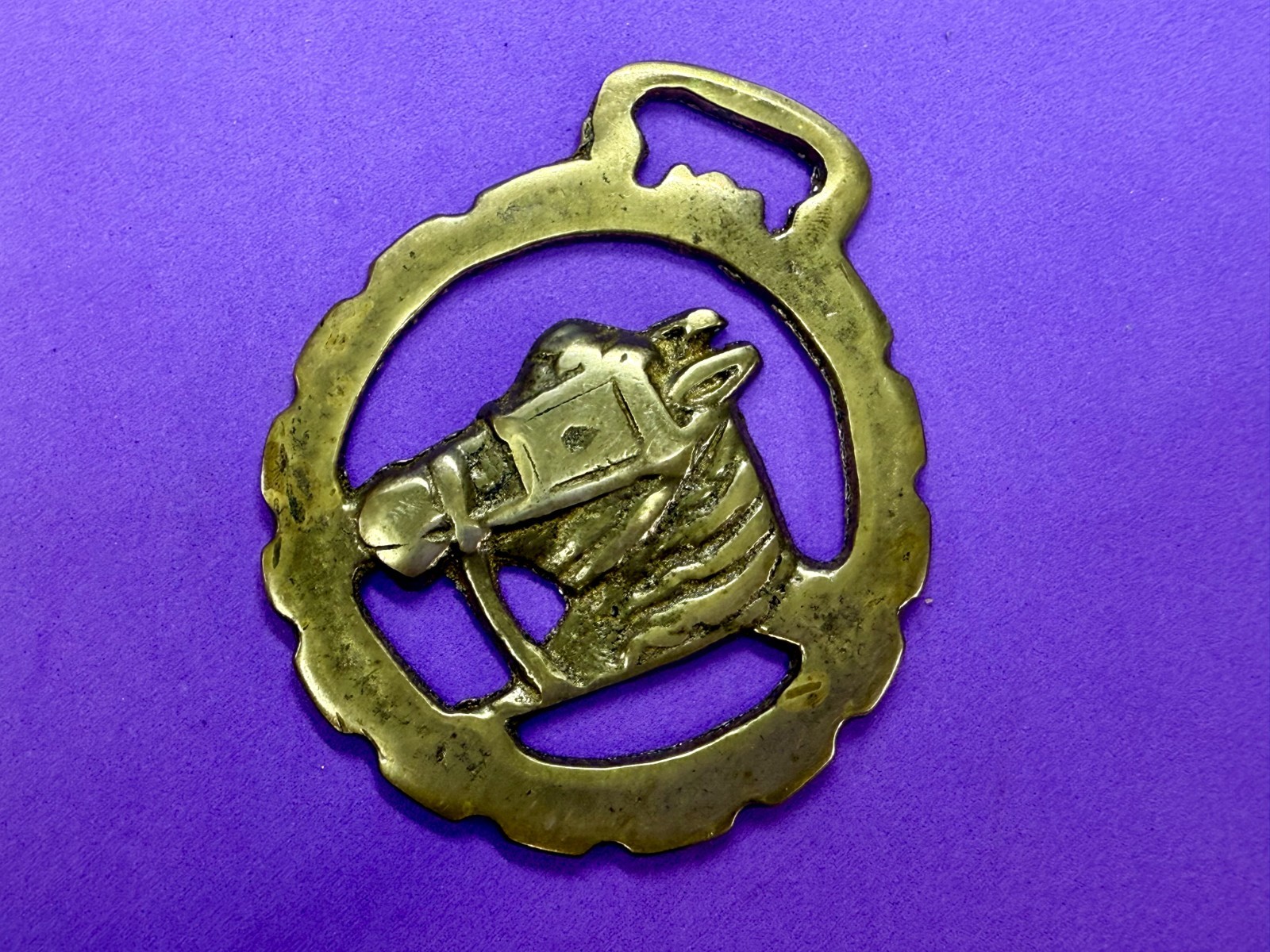 Horse Head with Blinkers Openwork Bridle Harness Saddle Medallion