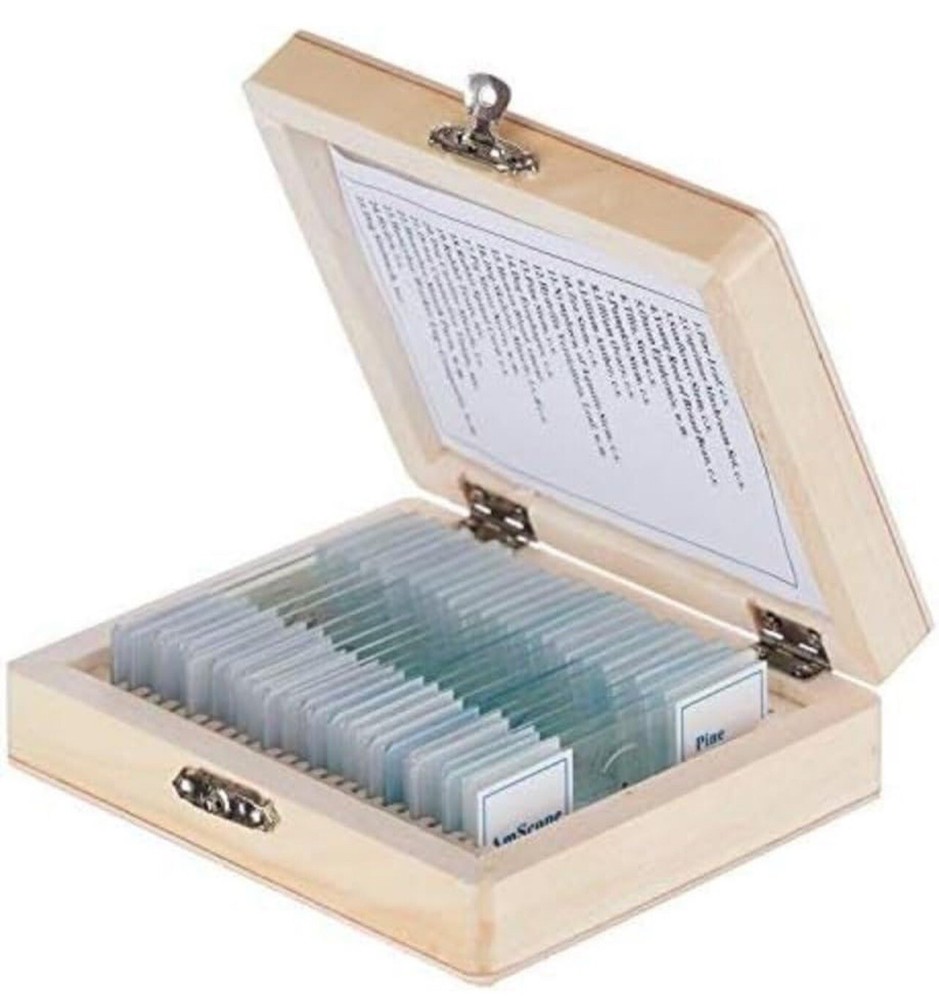 AmScope 25 Glass Prepared Microscope Slides with Wooden Box